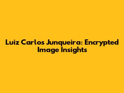 Luiz Carlos Junqueira: Encrypted Image Insights