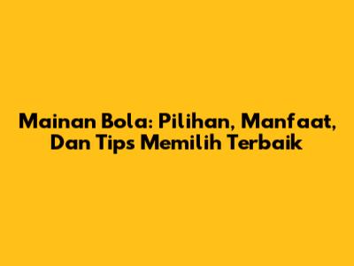 Mainan Bola: Pilihan, Manfaat, Dan Tips Memilih Terbaik