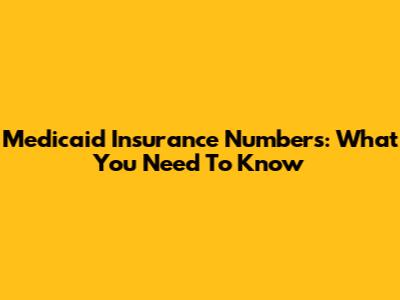 Medicaid Insurance Numbers: What You Need To Know