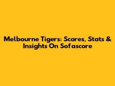 Melbourne Tigers: Scores, Stats & Insights On Sofascore