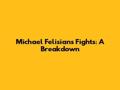 Michael Felisian's Fights: A Breakdown