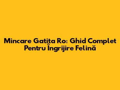 Mincare Gatita Ro: Ghid Complet Pentru Îngrijire Felină