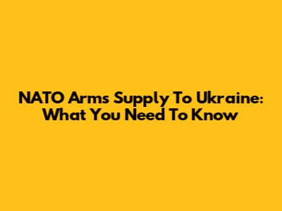 NATO Arms Supply To Ukraine: What You Need To Know