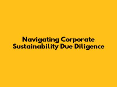 Navigating Corporate Sustainability Due Diligence