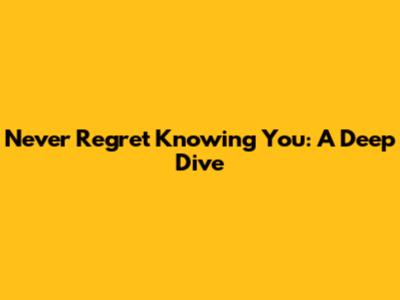 Never Regret Knowing You: A Deep Dive