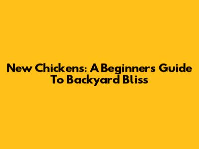 New Chickens: A Beginner's Guide To Backyard Bliss