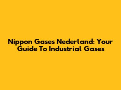 Nippon Gases Nederland: Your Guide To Industrial Gases