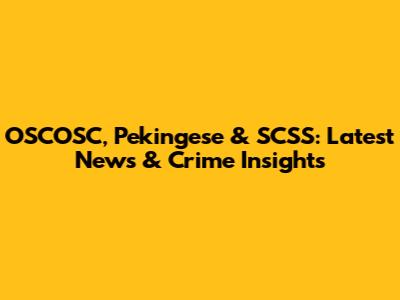 OSCOSC, Pekingese & SCSS: Latest News & Crime Insights