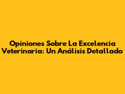 Opiniones Sobre La Excelencia Veterinaria: Un Análisis Detallado