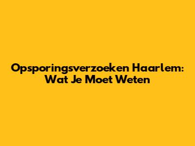 Opsporingsverzoeken Haarlem: Wat Je Moet Weten