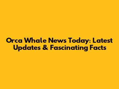 Orca Whale News Today: Latest Updates & Fascinating Facts