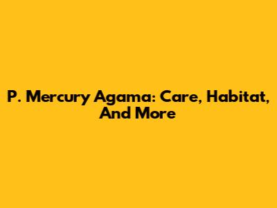 P. Mercury Agama: Care, Habitat, And More