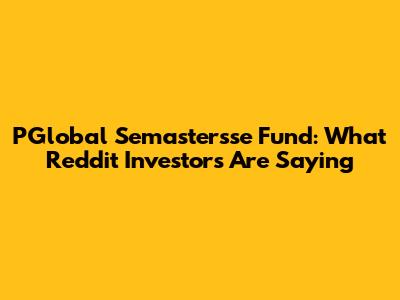 PGlobal Semastersse Fund: What Reddit Investors Are Saying