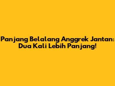Panjang Belalang Anggrek Jantan: Dua Kali Lebih Panjang!