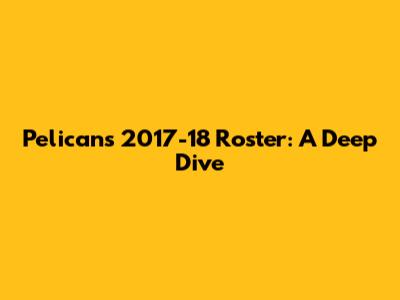 Pelicans' 2017-18 Roster: A Deep Dive
