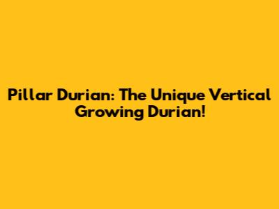 Pillar Durian: The Unique Vertical Growing Durian!