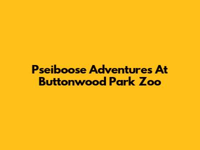 Pseiboose Adventures At Buttonwood Park Zoo