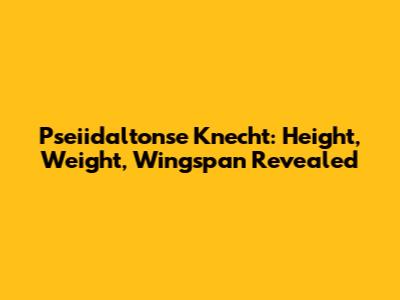 Pseiidaltonse Knecht: Height, Weight, Wingspan Revealed