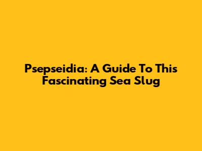 Psepseidia: A Guide To This Fascinating Sea Slug