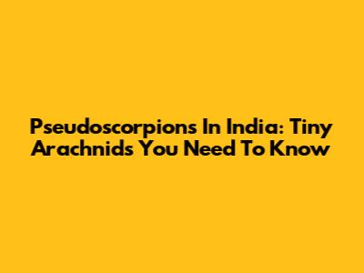 Pseudoscorpions In India: Tiny Arachnids You Need To Know