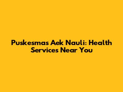 Puskesmas Aek Nauli: Health Services Near You