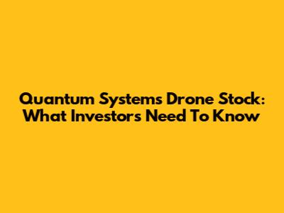 Quantum Systems Drone Stock: What Investors Need To Know