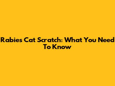 Rabies Cat Scratch: What You Need To Know