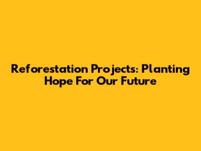 Reforestation Projects: Planting Hope For Our Future