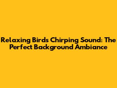 Relaxing Birds Chirping Sound: The Perfect Background Ambiance