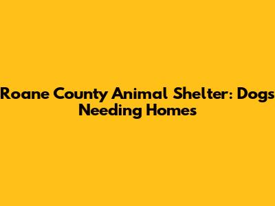 Roane County Animal Shelter: Dogs Needing Homes