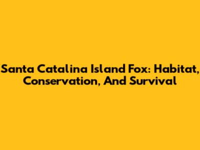 Santa Catalina Island Fox: Habitat, Conservation, And Survival