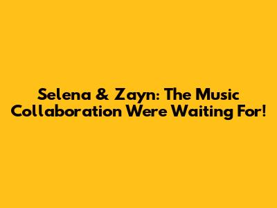 Selena & Zayn: The Music Collaboration We're Waiting For!
