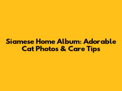 Siamese Home Album: Adorable Cat Photos & Care Tips