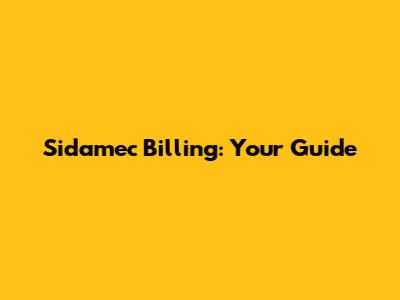 Sidamec Billing: Your Guide