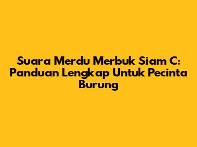 Suara Merdu Merbuk Siam C: Panduan Lengkap Untuk Pecinta Burung