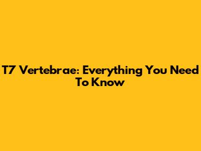T7 Vertebrae: Everything You Need To Know