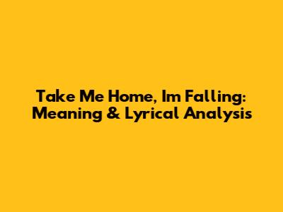 Take Me Home, I'm Falling: Meaning & Lyrical Analysis