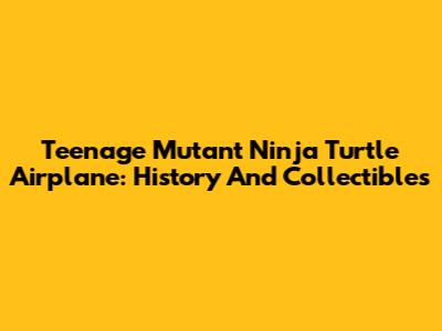 Teenage Mutant Ninja Turtle Airplane: History And Collectibles