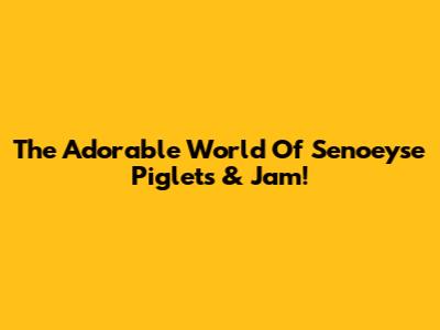 The Adorable World Of Senoeyse Piglets & Jam!