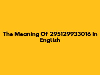The Meaning Of 295129933016 In English