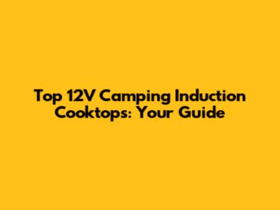 Top 12V Camping Induction Cooktops: Your Guide