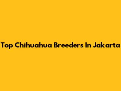 Top Chihuahua Breeders In Jakarta