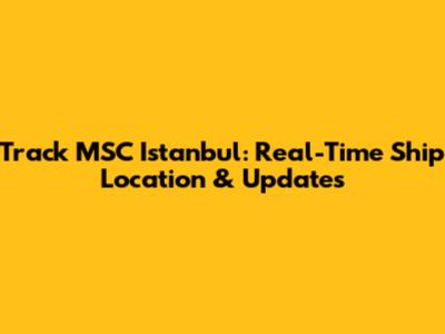 Track MSC Istanbul: Real-Time Ship Location & Updates