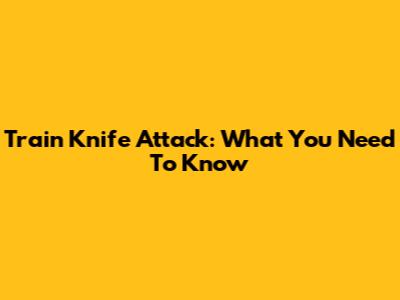 Train Knife Attack: What You Need To Know