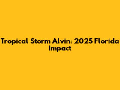 Tropical Storm Alvin: 2025 Florida Impact