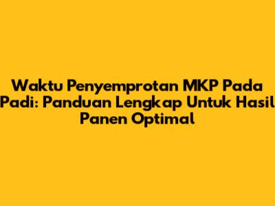 Waktu Penyemprotan MKP Pada Padi: Panduan Lengkap Untuk Hasil Panen Optimal