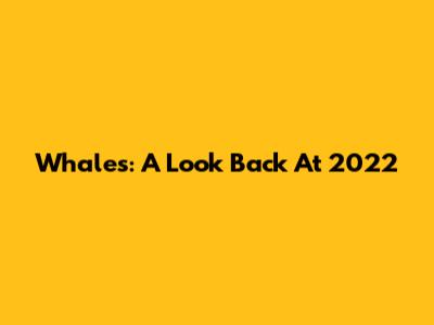 Whales: A Look Back At 2022