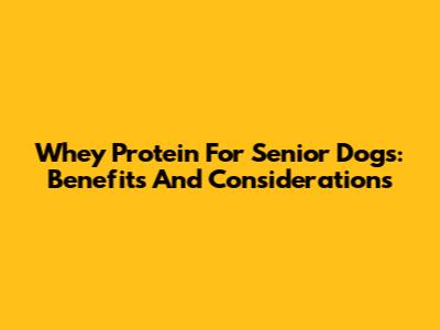 Whey Protein For Senior Dogs: Benefits And Considerations