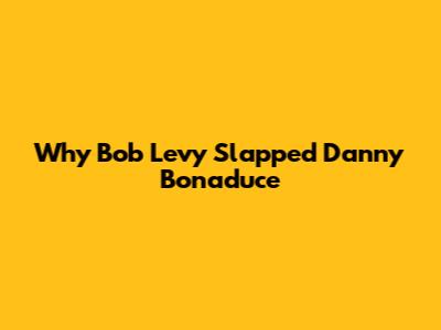 Why Bob Levy Slapped Danny Bonaduce