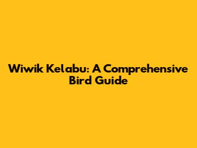 Wiwik Kelabu: A Comprehensive Bird Guide